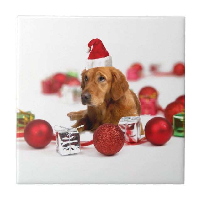 Golden Retriever Hund W Red Santa Hat jul Kakelplatta (Framsidan)