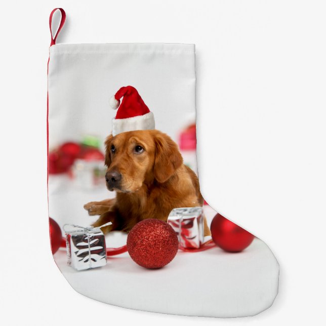 Golden Retriever Hund W Red Santa Hat jul Liten Julstrumpa (Framsidan)