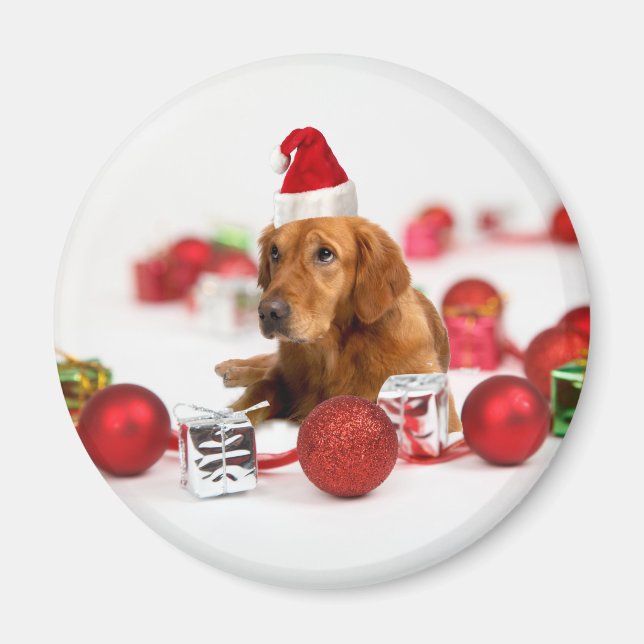 Golden Retriever Hund W Red Santa Hat jul Magnet (Framsidan)