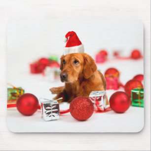 Golden Retriever Hund W Red Santa Hat jul Musmatta