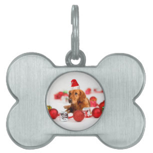 Golden Retriever Hund W Red Santa Hat jul Namnbricka Husdjur