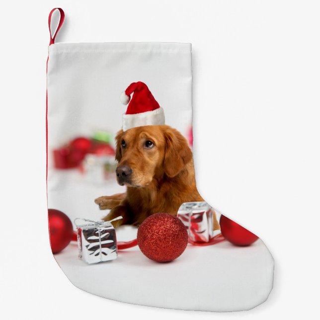 Golden Retriever Hund W Red Santa Hat Liten Julstrumpa (Framsidan)