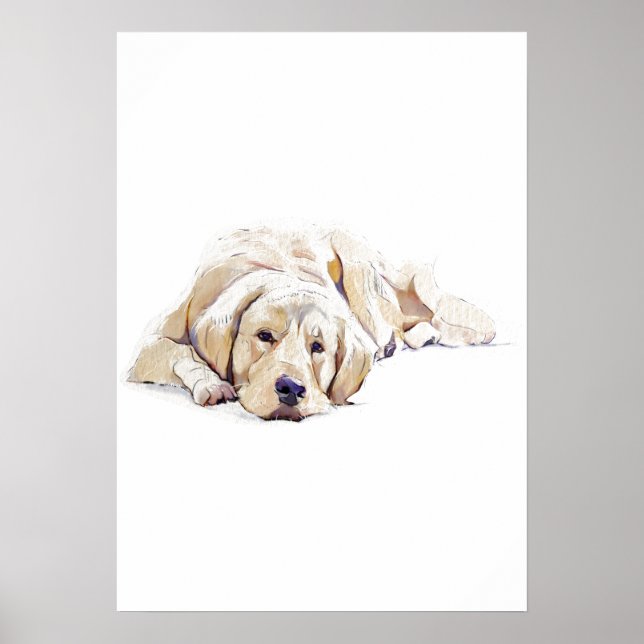 Golden Retriever Hundaffisch - Present till hundäl Poster (Framsidan)