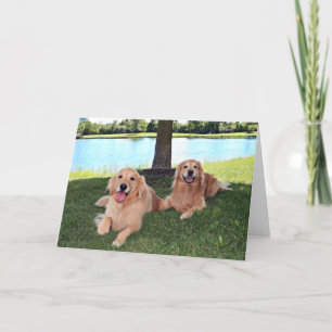 Golden Retriever Hundar i Park har en Lycklig-dag Kort