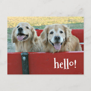Golden Retriever Hundar i Red Wagon Thinking You Vykort