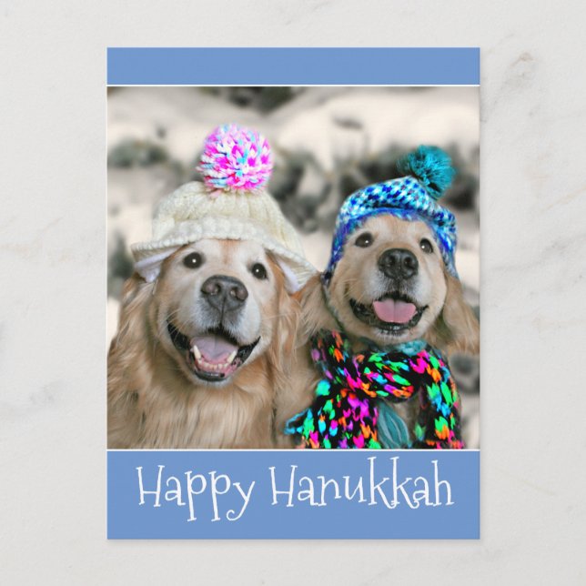 Golden Retriever Hundar i Winter Hats Hanukah Helg Vykort (Framsida)