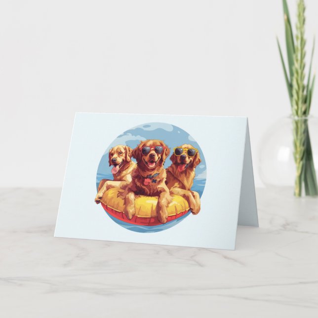 Golden Retriever Hundar Sommar Bassäng Kort (Framsida)