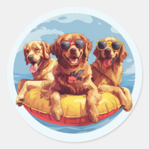 Golden Retriever Hundar Sommar Bassäng Runt Klistermärke