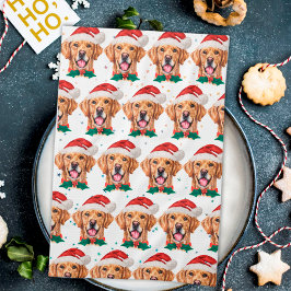 Golden Retriever Hundras Jul Kökshandduk