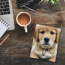 Golden Retriever Husdjur Anpassad Husdjur Foto Föd