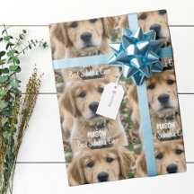 Golden Retriever Husdjur Anpassad Husdjur Foto och