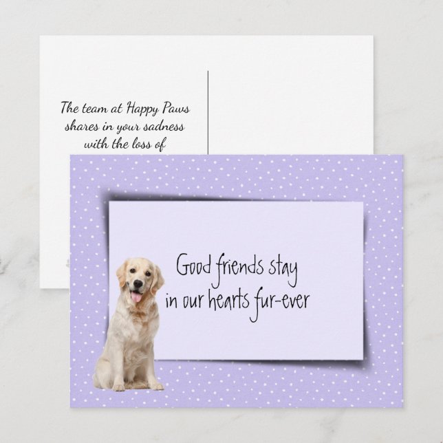 Golden Retriever Husdjur Förlust Från Veterinär Vykort (Fram/baksida)