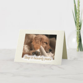 Golden Retriever Husdjur Hund Fred Julkort Helgkort