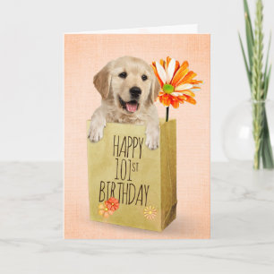 Golden Retriever i 101:a födelsedag Kort