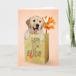 Golden Retriever i 102:a födelsedag Kort