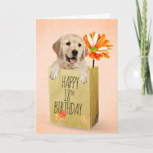 Golden Retriever i 18:e födelsedag Kort