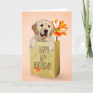 Golden Retriever i 60:e födelsedag Kort