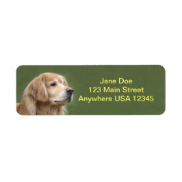 Golden Retriever i Closeup Returadress Etikett