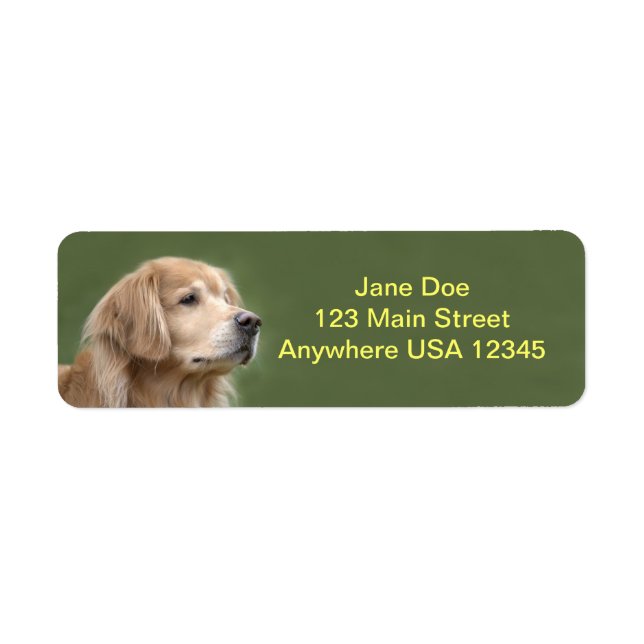 Golden Retriever i Closeup Returadress Etikett (Framsidan)