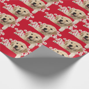 Golden Retriever i daisy på rött Presentpapper