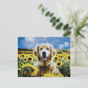 Golden Retriever i en solros Fält Vykort