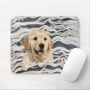 Golden Retriever i Frayed Denim Musmatta