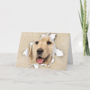 Golden Retriever i Pappra Hål Hej Kort