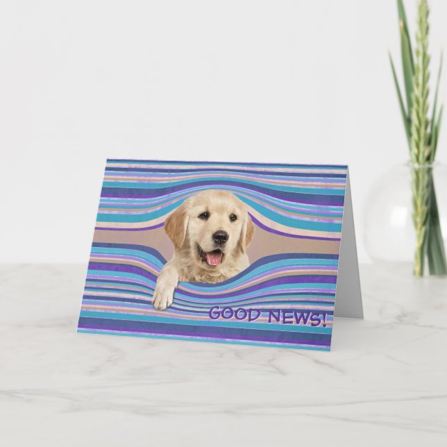 Golden Retriever i Rand Birthday Humor Kort (Framsida)