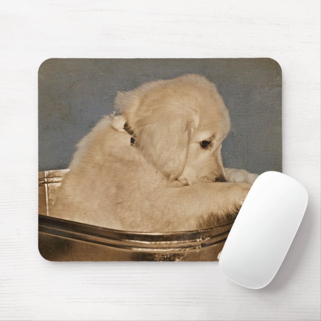 Golden Retriever i Retro Washtub Musmatta (Med mus)