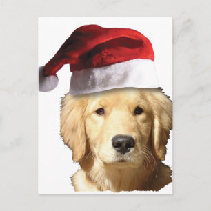 Golden Retriever i Santa Hat Helg Vykort