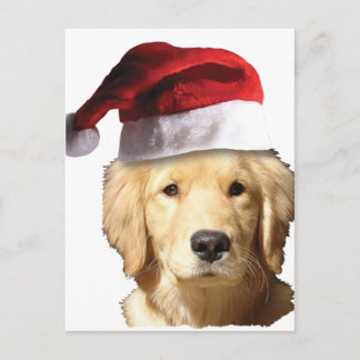 Golden Retriever i Santa Hat Helg Vykort