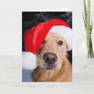 Golden Retriever i Santa Hat Helgkort