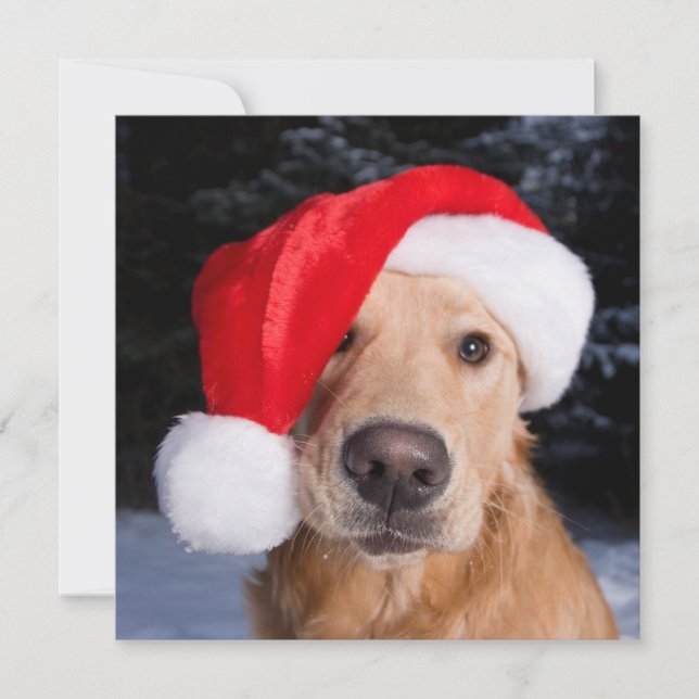 Golden Retriever i Santa Hat Julkort (Framsida)