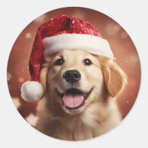 Golden Retriever i Santa Hat
