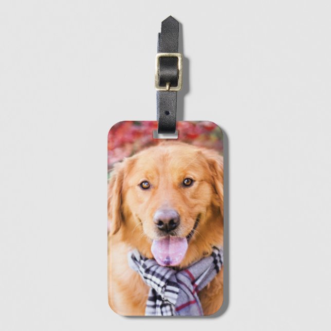 Golden Retriever i Scarf Bagagebricka (Framsida vertikal)