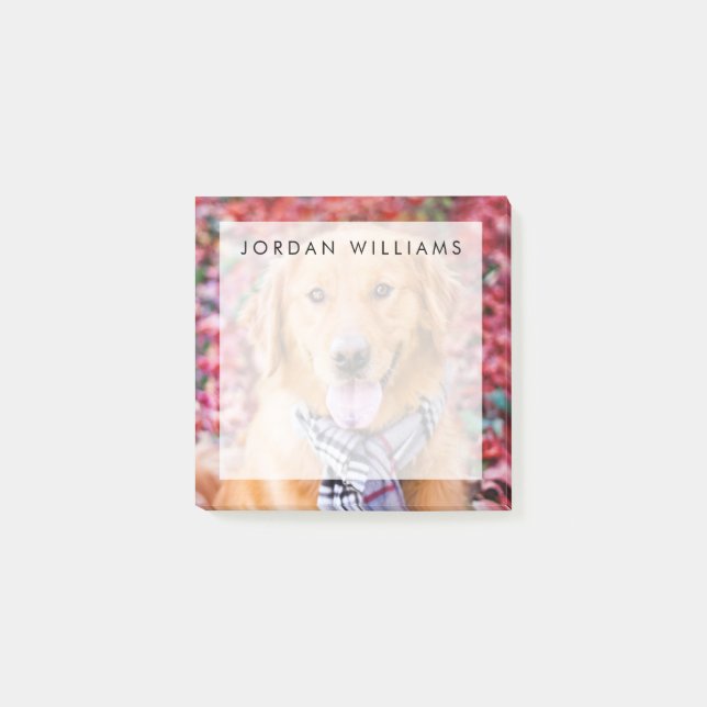 Golden Retriever i Scarf Post-it Block (Framsida)