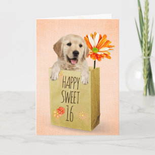 Golden Retriever i Sweet 16 Birthday Bag Kort
