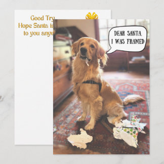 Golden Retriever i trubbel med Tomte jul