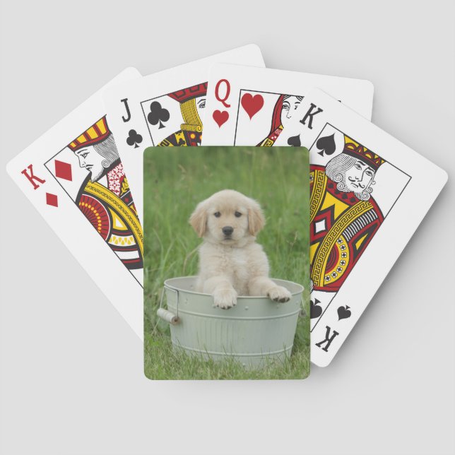 Golden Retriever i Tvättat bäcken Casinokort (Baksidan)