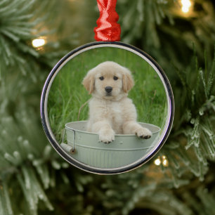 Golden Retriever i Tvättat bäcken Julgransprydnad Metall