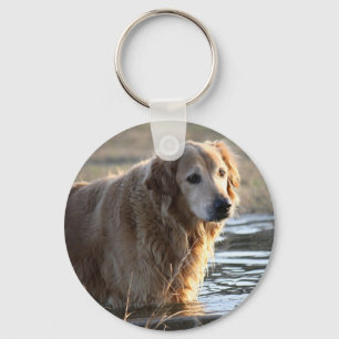 Golden Retriever i Vatten Nyckelring