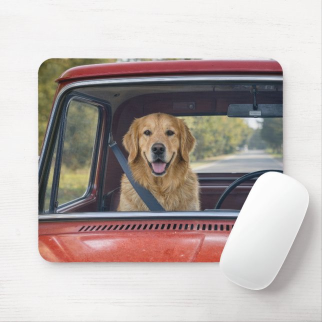 Golden Retriever Iklädd Bälte Musmatta (Med mus)