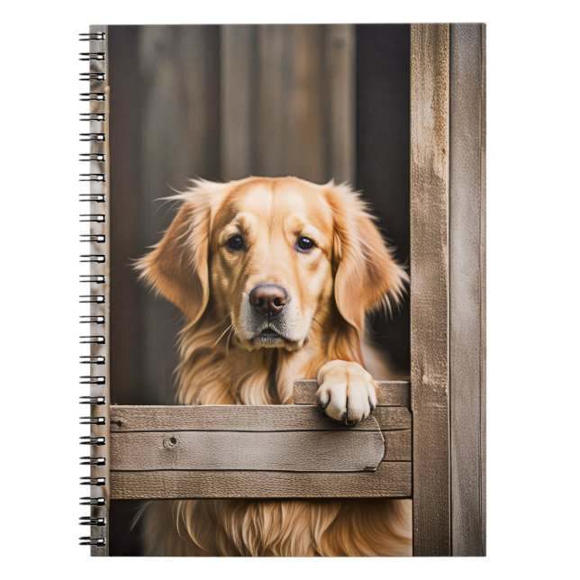 Golden Retriever in Barn Window Anteckningsbok (Framsidan)