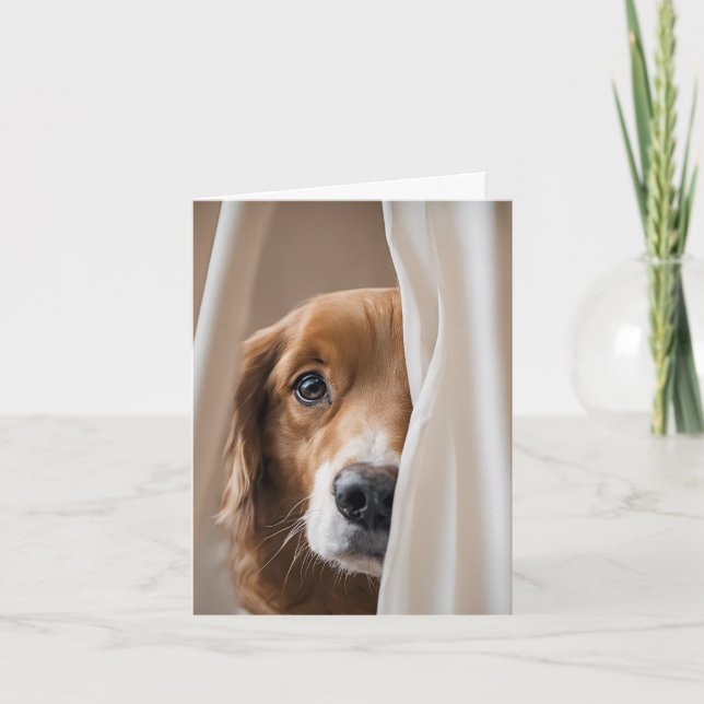 Golden Retriever in Curtain Anteckningskort (Framsida)