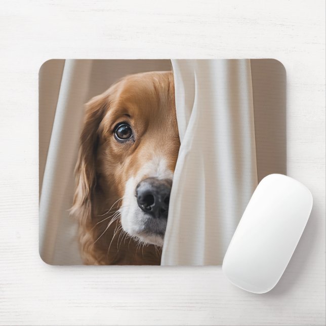 Golden Retriever in Curtain Musmatta (Med mus)