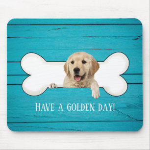 Golden Retriever in hund bone Musmatta