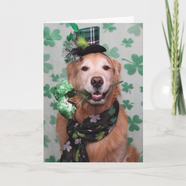 Golden Retriever Irish St. Patrick's Day Kort (Framsida)