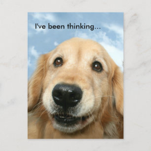 Golden Retriever jag har tänkt på Vykort