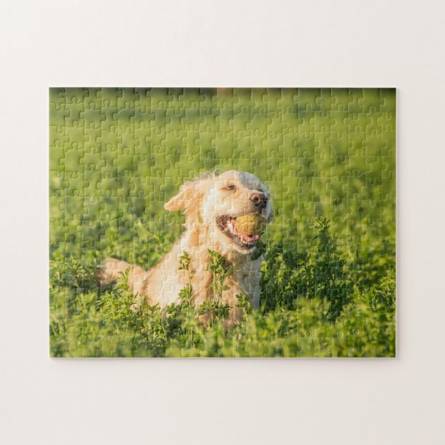 Golden Retriever Jig Saw Puzzle Pussel (Horisontell)
