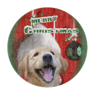 Golden Retriever-jul